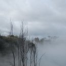 해인승복 | 무진기행. 김승옥