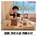 11500-6-54-08 | 창원 가로수길 카페 수르 내돈내산 솔직후기