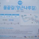 자연설렘 이미지