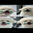 망미2-303 이미지