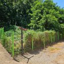 누비길7구간 이미지