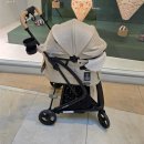 아발론2 | 아발론 투고2 라이트 강아지 유모차 내돈내산 구입 후기!