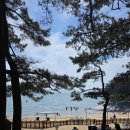 꾸지나무골해수욕장 | 꾸지나무골 해수욕장 캠핑장 오션뷰 캠핑장, 전 사이트 총정리, 뷰, 정리, 명당 추천