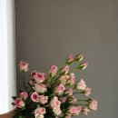 홍성화원 이미지