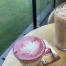 주차03 | 팀홀튼 트러플 머쉬룸 멜트 상세 후기! (서울역 숭례문점, 커피, 도넛, 1시간 무료 주차 꿀팁)