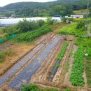 충남보령 전원주택및 텃밭 (전세)주택:30평 총:313평 - 암사역 명가부동산 이미지