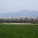 구례의길(남도이순신길) 이미지