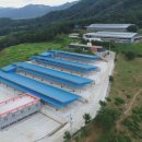 한우사육축사 이미지