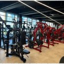 드래곤짐 이미지