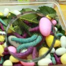 보선농장 이미지