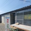 올래커피자판기