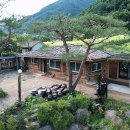 트리하우스민박 이미지