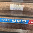 안창헌피부과의원 | 고양이 키워서 고양이 알레르기인 줄 알았지만_묘기증