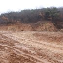 꿈꾸는동산 이미지