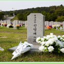 국립대전현충원 이미지