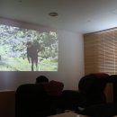 뷰테라피 - 은평구 연서로29길 14-13 | 뷰테라피