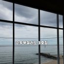 강원도립대학교 | 강릉 주문진 바다뷰 미쳤다… 순두부젤라또 3호점 솔직후기 (도깨비 촬영지 카페)