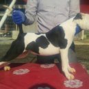 아도농장 이미지