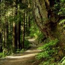 이한의원 이미지