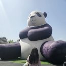에버랜드 페어리타운 평일 방문후기+튤립축제, 먹거리, 스마트오더, 할인혜택정보 포함