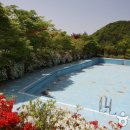 금광관광농원 이미지