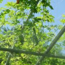 서둔지하차도 이미지