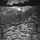 달의 꿈 이미지