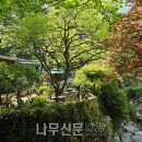 쉼표 나무신문