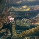 아쿠아플라넷 제주 | 제주 가볼만한곳:) 공연부터 전시까지 볼거리 가득한 아쿠아플라넷 제주 방문 후기