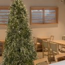 피플스톤 이미지