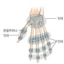 김해복음병원 이미지