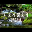 쉼힐링