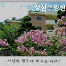 정심요양원 네이버블로그