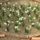 민박 동면 이미지