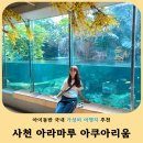 세븐일레븐 사천제일점 | 경남 사천 가족여행 코스 추천! 아이가 하루 종일 좋아했던 아라마루 아쿠아리움