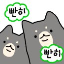 장원오리 이미지