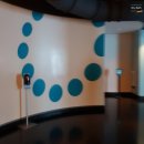 하이롤러 이미지