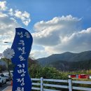 구절초로 | 🌼정읍 구절초 지방정원 구절초 꽃 축제 후기