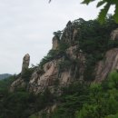 유래동산