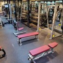 노경우 퍼스널 트레이닝 이미지