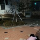 솔미약국 이미지