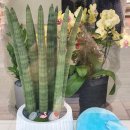 은이네하우스 이미지