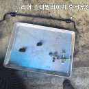 VIP카센타 이미지