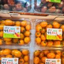 성은유통 네이버블로그