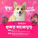 보령동물병원 이미지