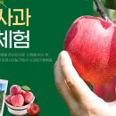 바람개비사과농장