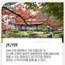 미야자키 이미지