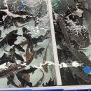 조은상회 이미지