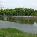 날마다장날 이미지