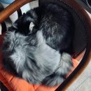 [성인] 유화교실 이미지